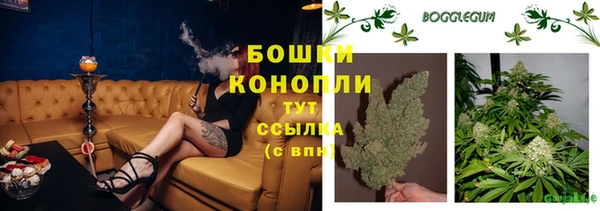 соль ск Абаза