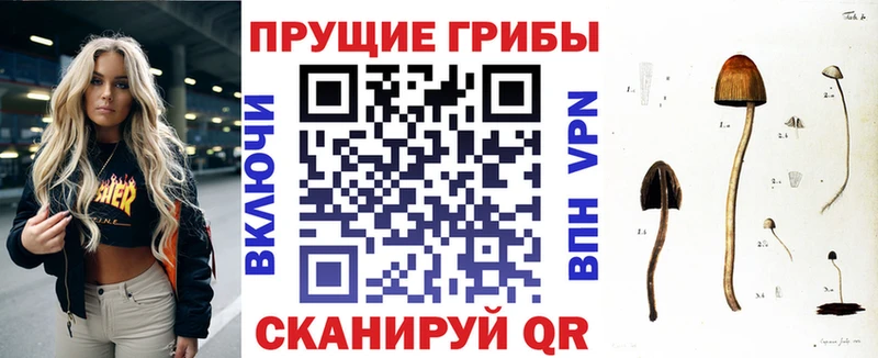 дарнет шоп  МЕГА вход  Галлюциногенные грибы GOLDEN TEACHER  Холмск 